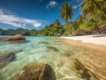 ropical beach with palm trees and mountains