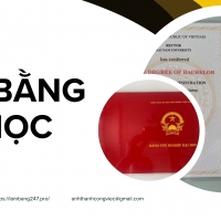 Làm Báº±ng Äáº¡i Há»c Giáº£ Táº¡i Làm Báº±ng 247
