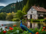 House at the lake