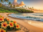 Beautiful Hawaii beach