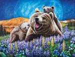 Bears