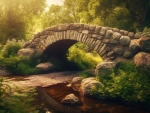 Ancient stone Arch bridge over tranquil pond in a forest