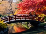 Autumn in a japanese garden