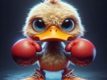 Ducky Balboa