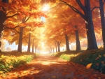 Forest path in autumn