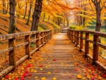 A bridge in the fall