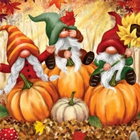 Fall Gnomes