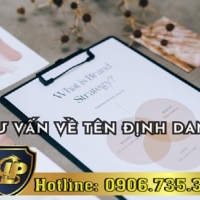 TÆ° váº¥n vá» tên Ä‘á»‹nh danh â€“ HÆ°á»›ng dáº«n khai báo vaÌ€ thuÌ‰ tuÌ£c Ä‘Äƒng kyÌ