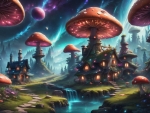 Mushroom Village