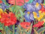 Irises and poppies