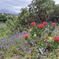 Cape Town Table Mountain