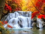 Maple leaves and waterfall