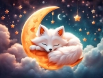 Tonight it's Whity's turn to sleep on Moon,so happy