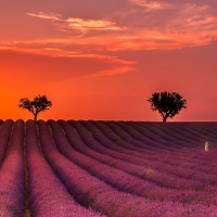 Link Bandar Situs Slot Habanero Promo Terbaik Freebet 25ribu Tanpa Deposit Tanpa Syarat