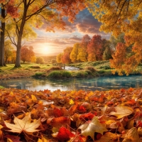 Autumn nature