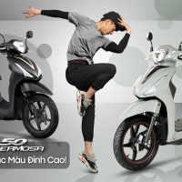 Xe 50cc Hermosa tay ga