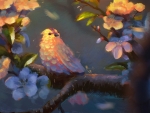 Bird in spring