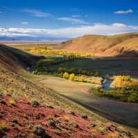 Link Resmi Judi Online Prediksi Angka Hoki 4D Aplikasi Kalender Togel Paling Top No 1