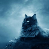 Situs Slot Gacor Tanpa Deposit Daftar Hari Ini Bonus Freebet 30ribu