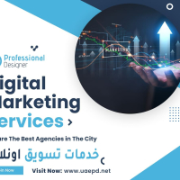 Best Digital Marketing Expert