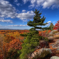 Blueberry Mountain, Ontario