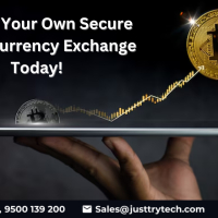 Custom Crypto Exchange Apps