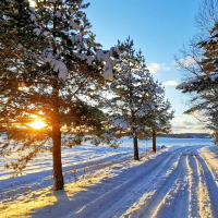 Snowy Road in Latvia