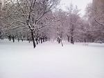 2010. january Winter