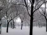 2010 January Winter