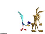 roadrunner and wylie 
