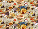 BEACH  SEASHELLS