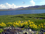 Deosi Lake Skardu Pakistan 