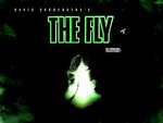 The Fly 