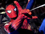 The Spider-man