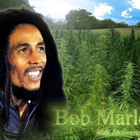 Bob Marley