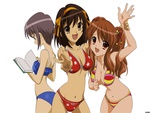 The Melancholy Of Haruhi Suzumiya