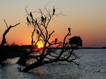 Sunset over Chobe