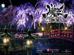Muramasa: The Demon Blade æœ§æ‘æ­£ Oboromuramasaâ€‹ bridge among cherry trees