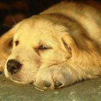 good nights rest after a long day