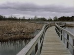 walkway through waterfowlpark.Sackville can