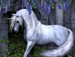 Beautiful unicorn