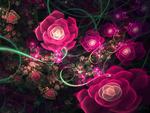 Fractal Roses