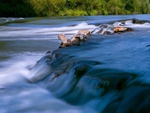 flowing river