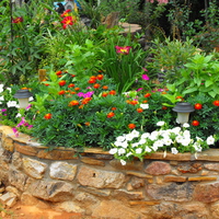 Flower Bed, Wall of Flowers,Pretty Colors