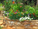 Flower Bed, Wall of Flowers,Pretty Colors