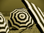 Beach Umbrellas