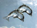 ice dolphins