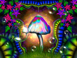 magic mushroom