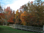 Fall Colors in North Point State Park