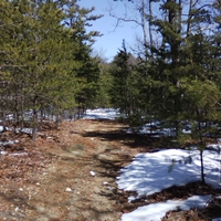 Snoe on The Mountain